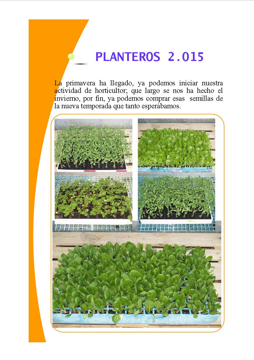 Plantero2.jpg